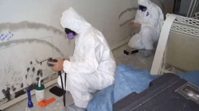 Technicians in protective suits assessing a water-damaged wall with mold along the water line